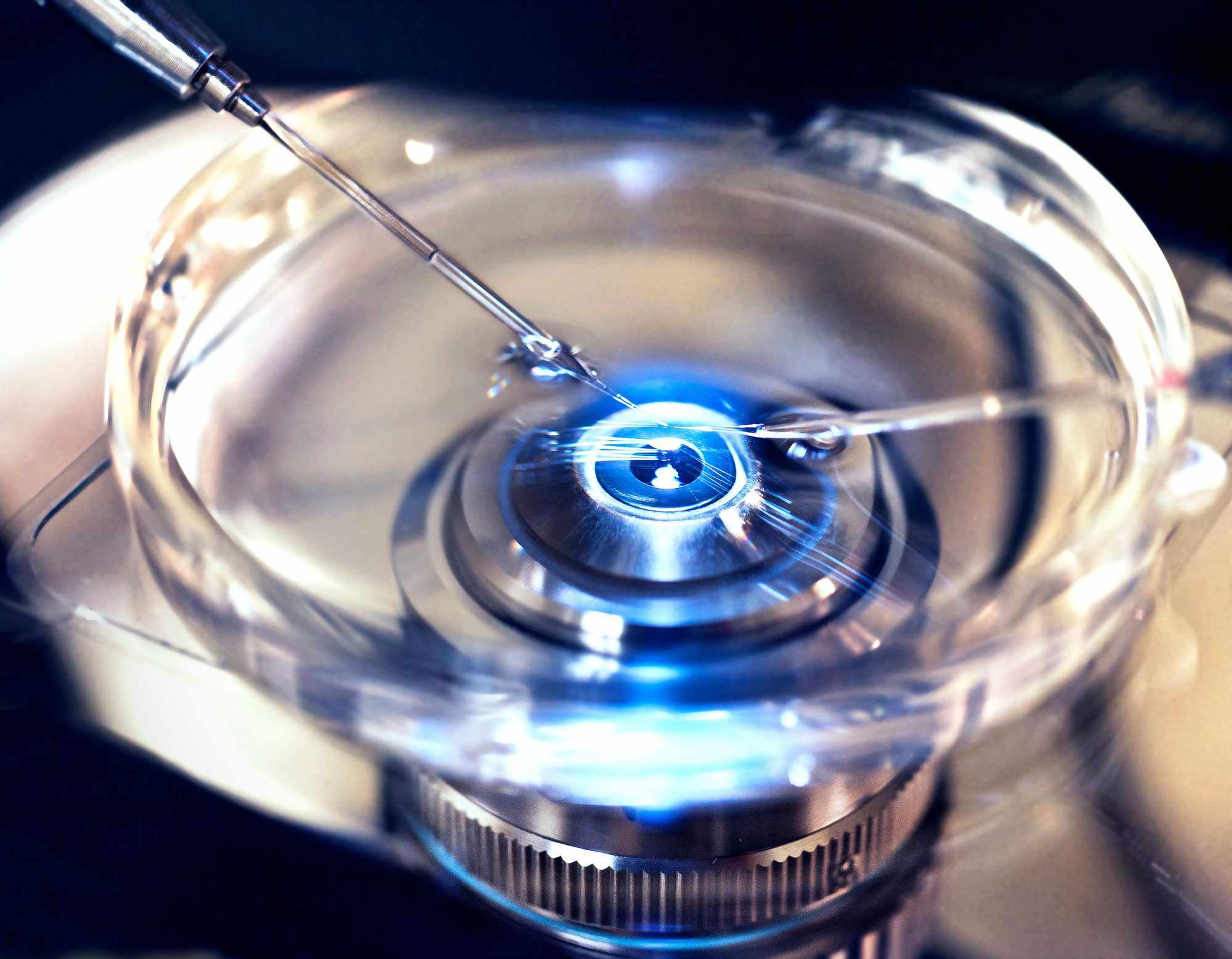 Biological & IN Vitro Fertilization