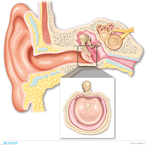 Otolaryngology