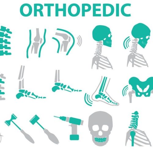 Orthopedic 5